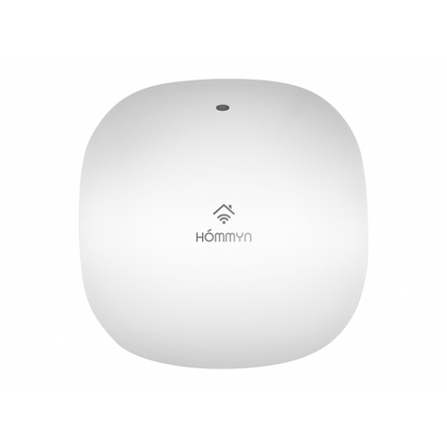Блок управления (шлюз) Hommyn Hub HH-01