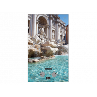 Колонка газовая Zanussi GWH 10 Fonte Glass Trevi